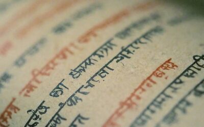 How to Ensure Your Vinoba Bhave University Transcript Meets Global Standards