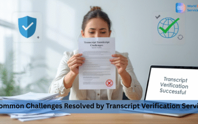 8 Common Challenges Resolved by Transcript Verification Services